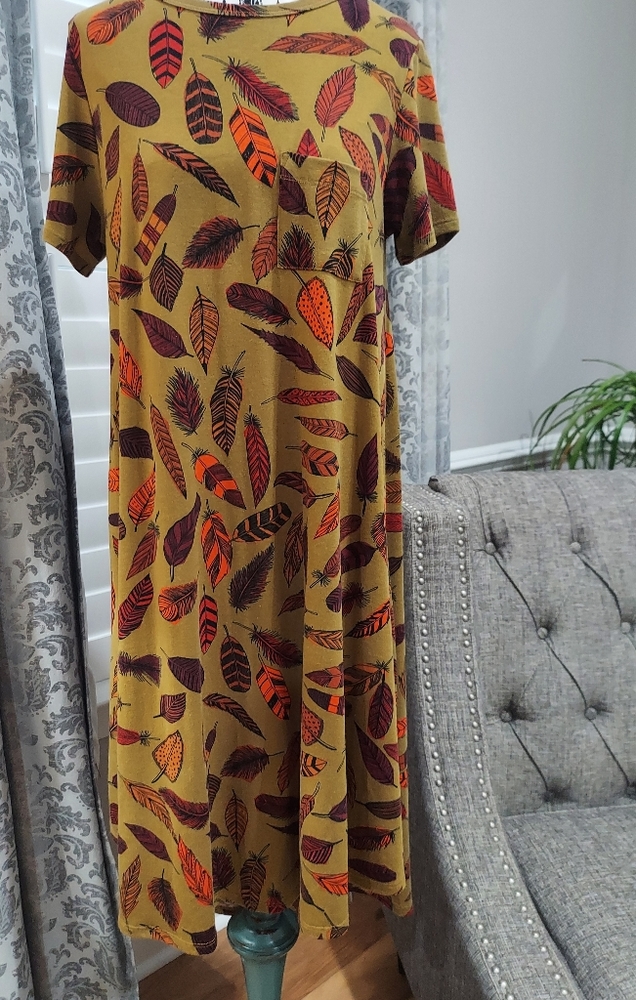 LulaRoe Carly Dress